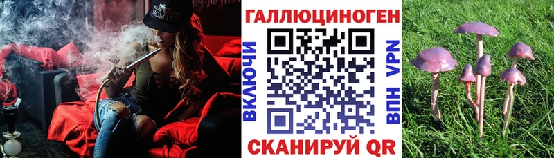 нарко площадка какой сайт  Макушино  Псилоцибиновые грибы Magic Shrooms 